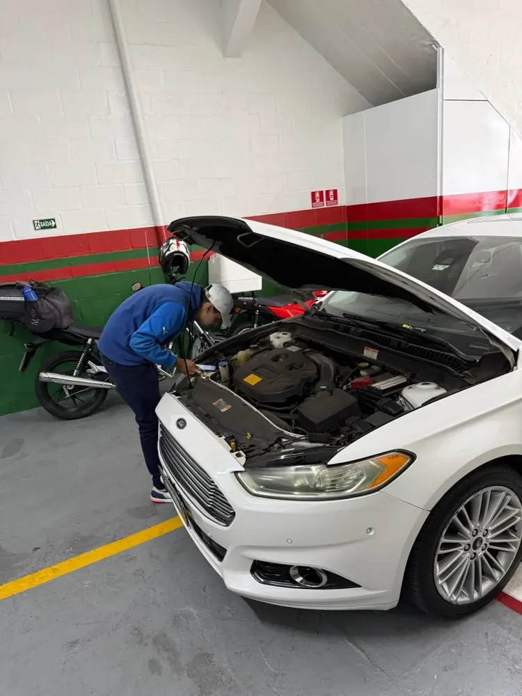 Conferência do compartimento do motor